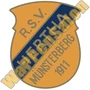 Thumb R. S. V. Hertha Muensterberg   Kurmark