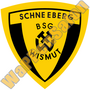 BSG Wismut Schneeberg