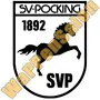 SV Pocking