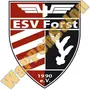 ESV Forst 1990