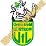 VfL Grün-Gold Güstrow - Nachwuchs