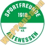 sportfreunde 1918 essen altenessen