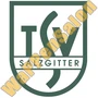 Thumb Tsv Salzgitter