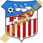 fsv zwickau