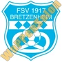 fsv 1917 bretzenheim