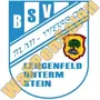 bsv bw 22 lengenfeld stein