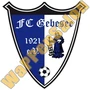 fc gebesee 1921