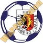 fsv hirschberg saale