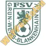 fsv gruen weiss blankenhain