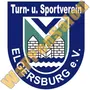 tsv 1880 elgersburg