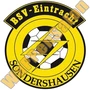 bsv eintracht sondershausen