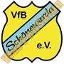 vfb schoenewerda