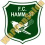 FC Hamm Rapid Mansfeldia - bis 2004